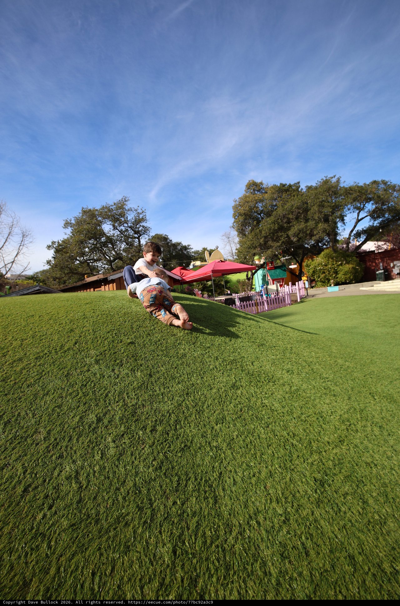 Child Sliding Down Grassy Hill at Colorful Play Area