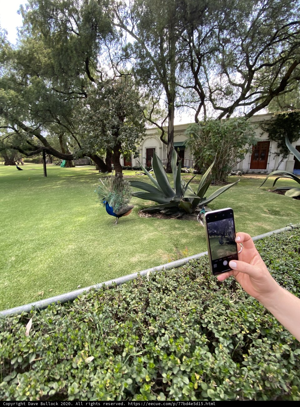 Capturing the Beautiful Garden through a Mobile Phone