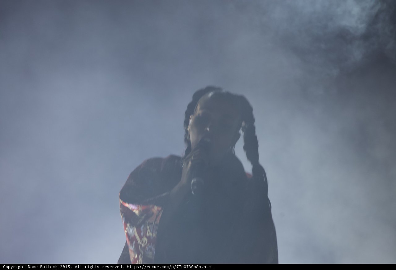 FKA twigs Silhouette Heavy Haze Two Braids Red Brocade Kimono Microphone Moody Atmospheric