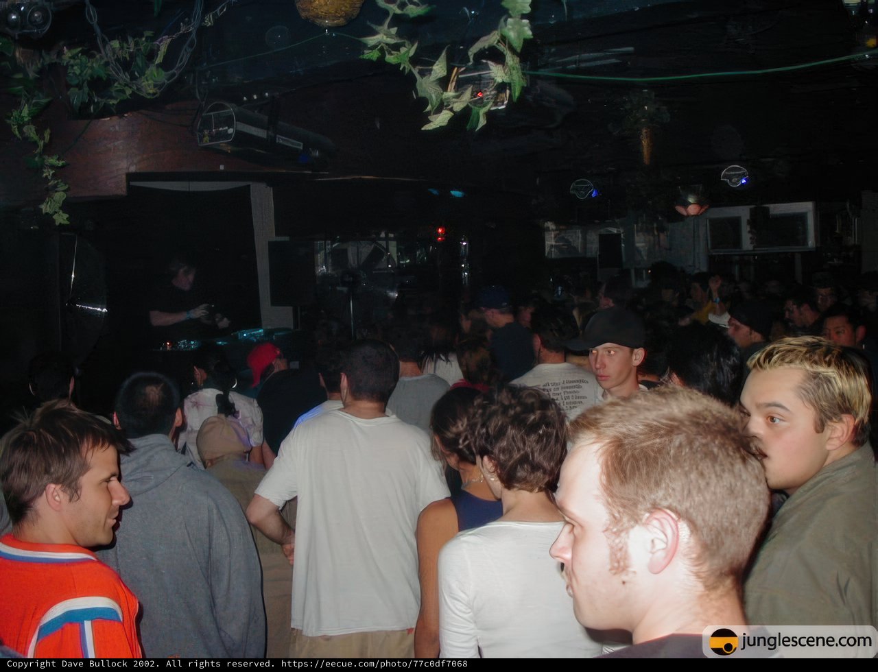 The Disco Never Ends