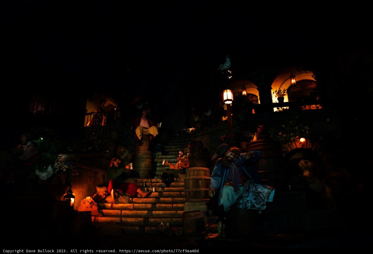 Magical Memories at Disneyland