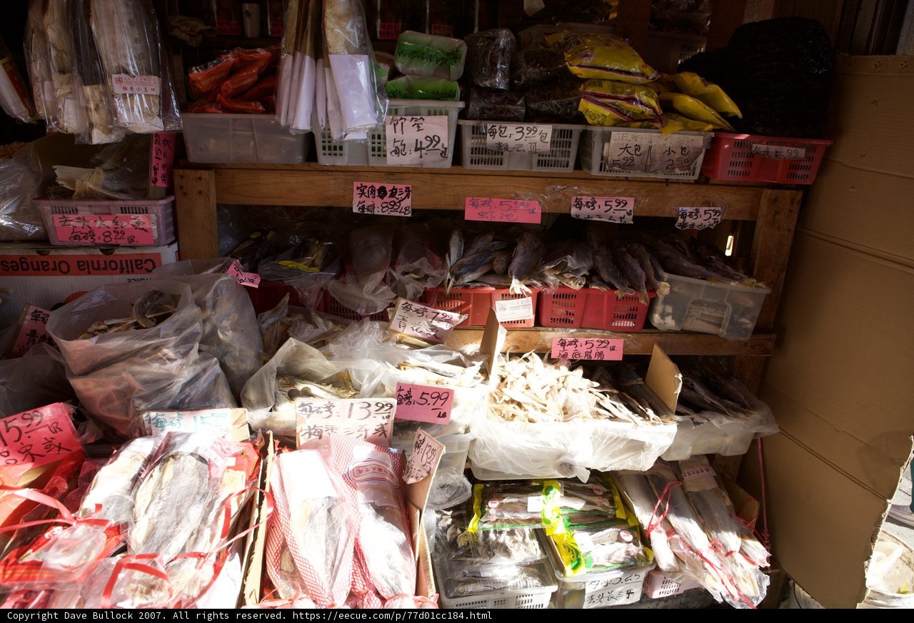 Seafood Galore