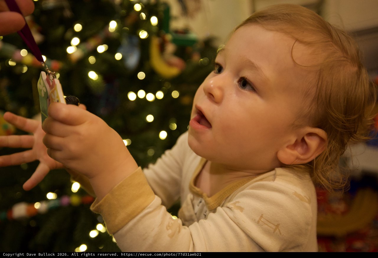 Toddler's Wonder While Decorating the Christmas Tree