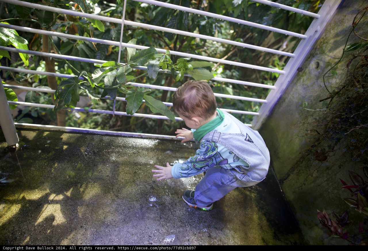 Youthful Explorer at the Edge