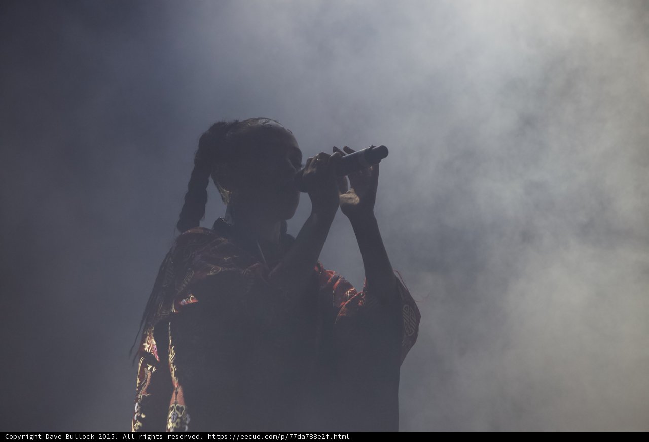 FKA twigs Silhouette Portrait Profile Singing Both Hands Microphone Braided Ponytails Red Kimono Heavy White Haze