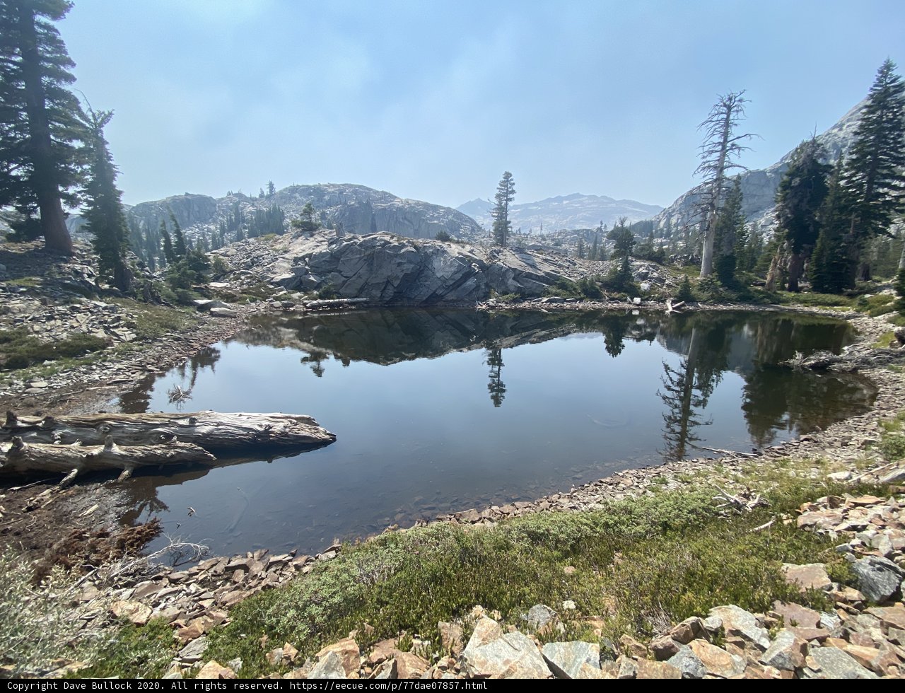 Tranquil Lake amidst the Wild