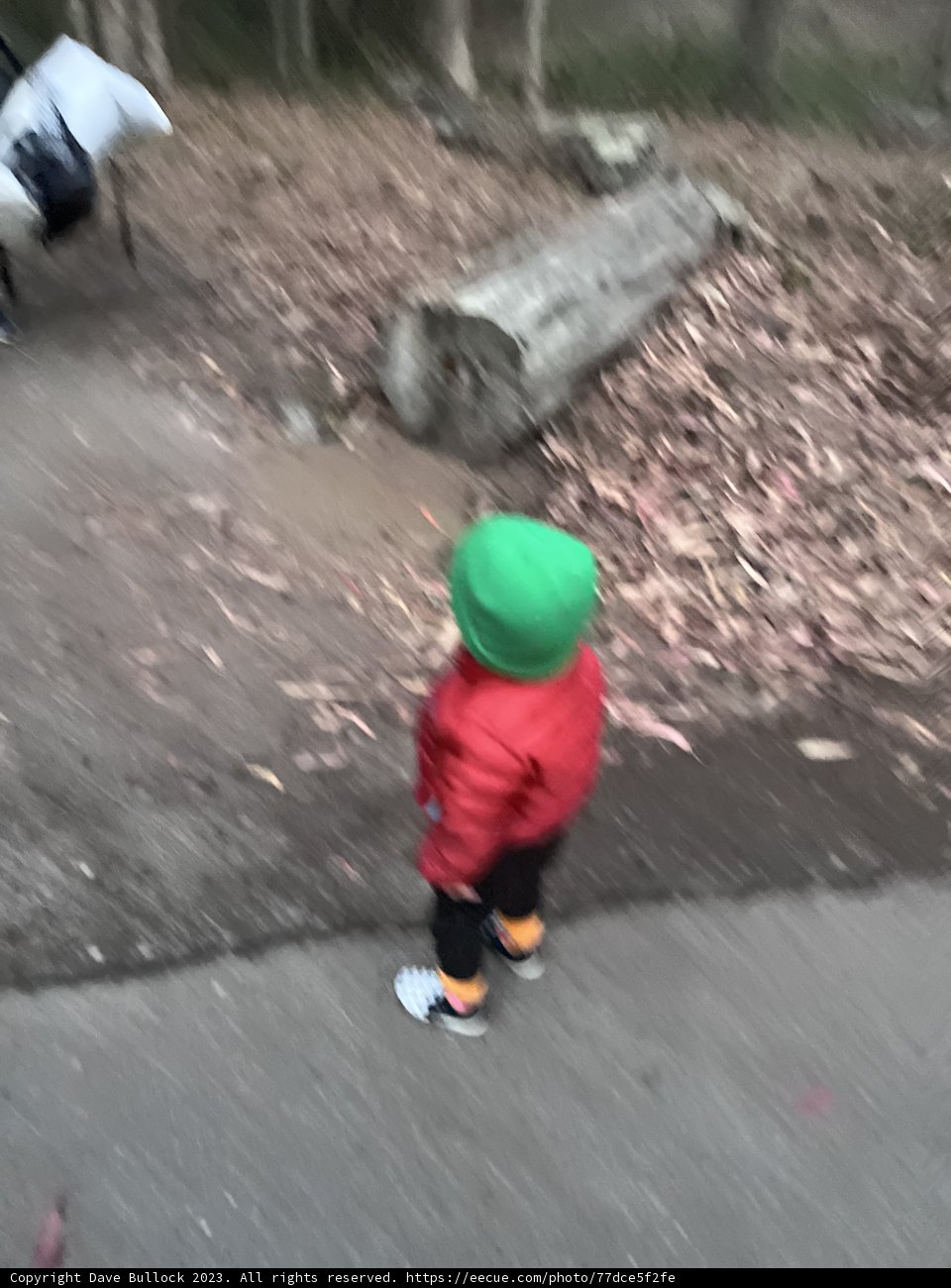 The Little Explorer's First Adventures