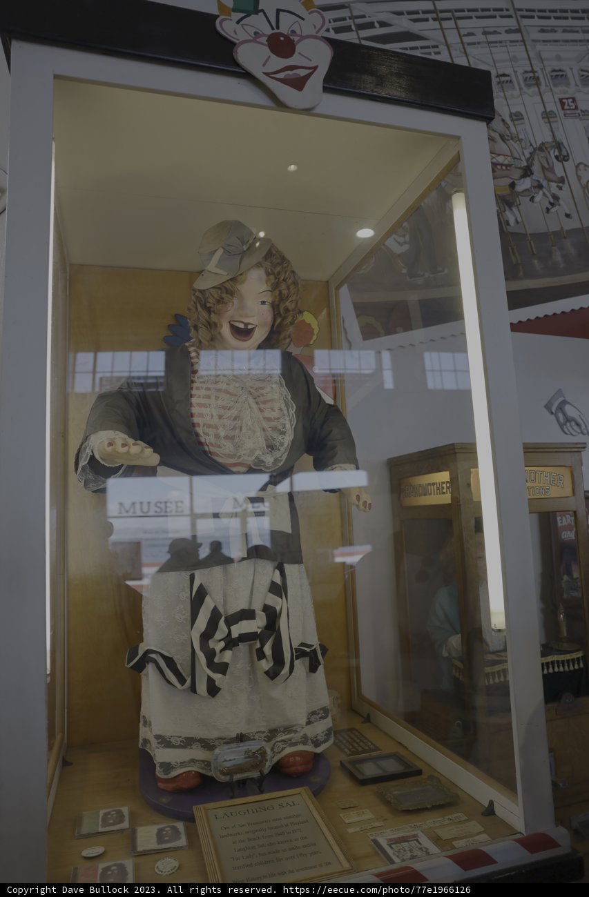 Vintage Doll in Display Case