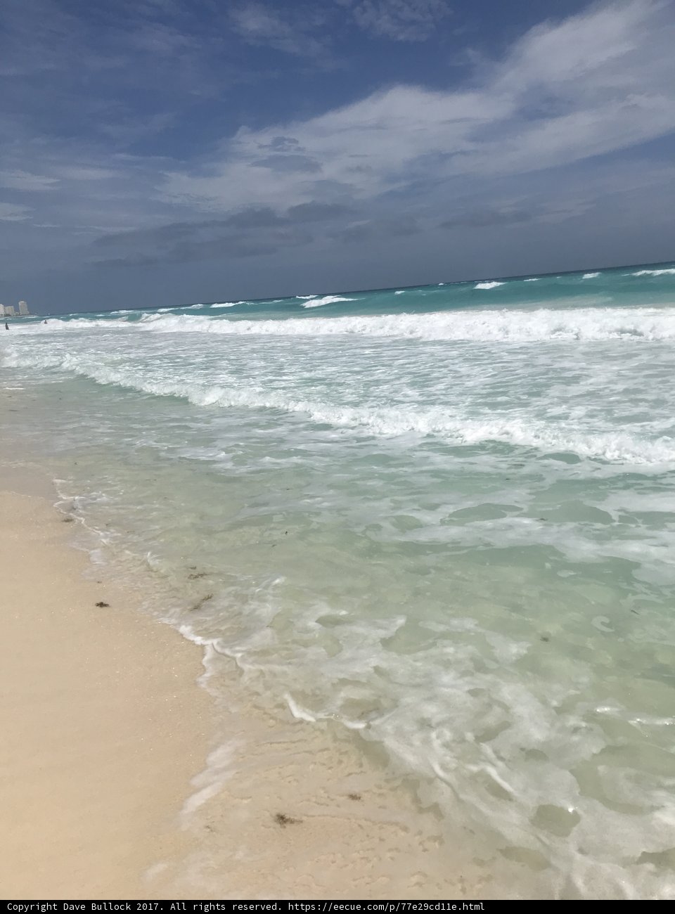 Serenity at the Shore