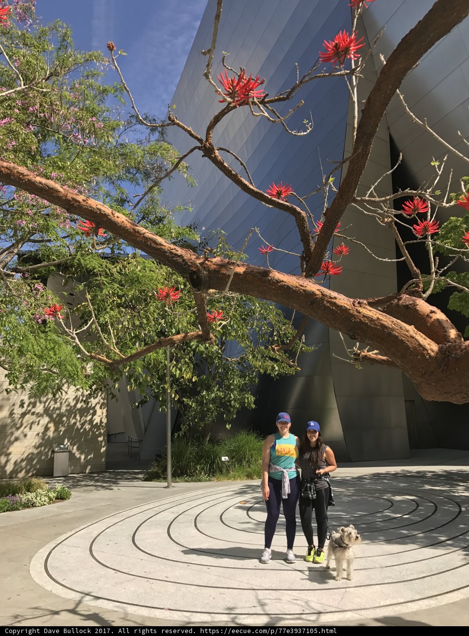 Walking in the gardens of Walt Disney Concert Hall