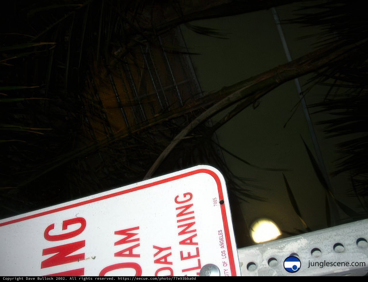 No Parking Zone