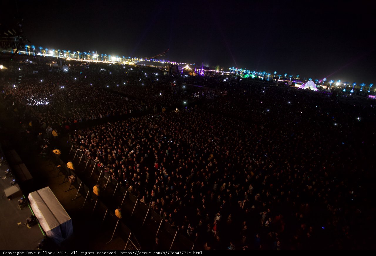Igniting the Night with Music