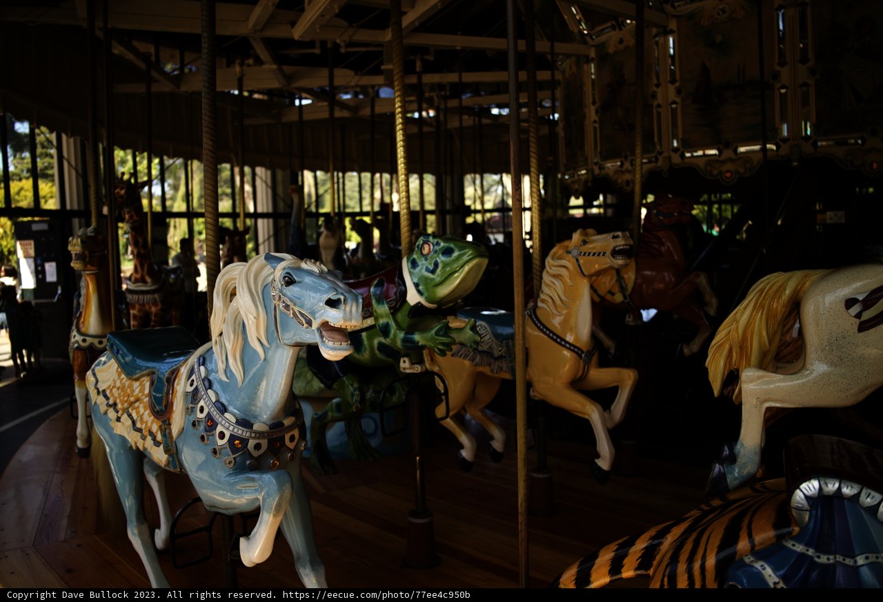 Spinning Magic at the Golden Gate Park Carousel, 2023