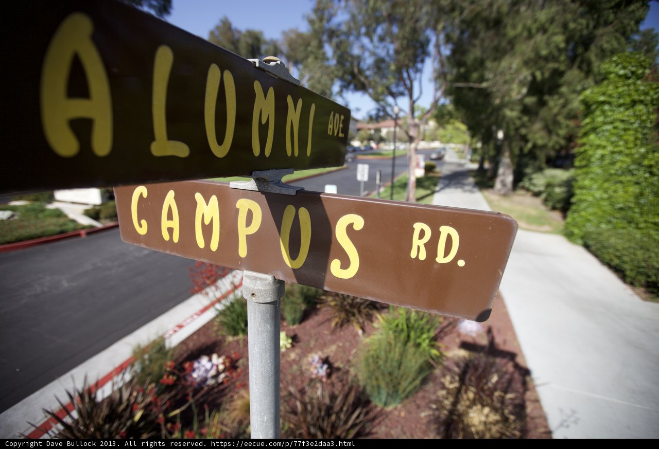 Alumni Pathway