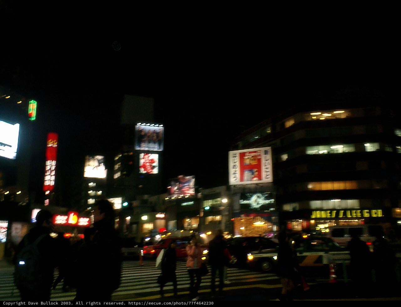 Nightlife in Tokyo's Metropolis