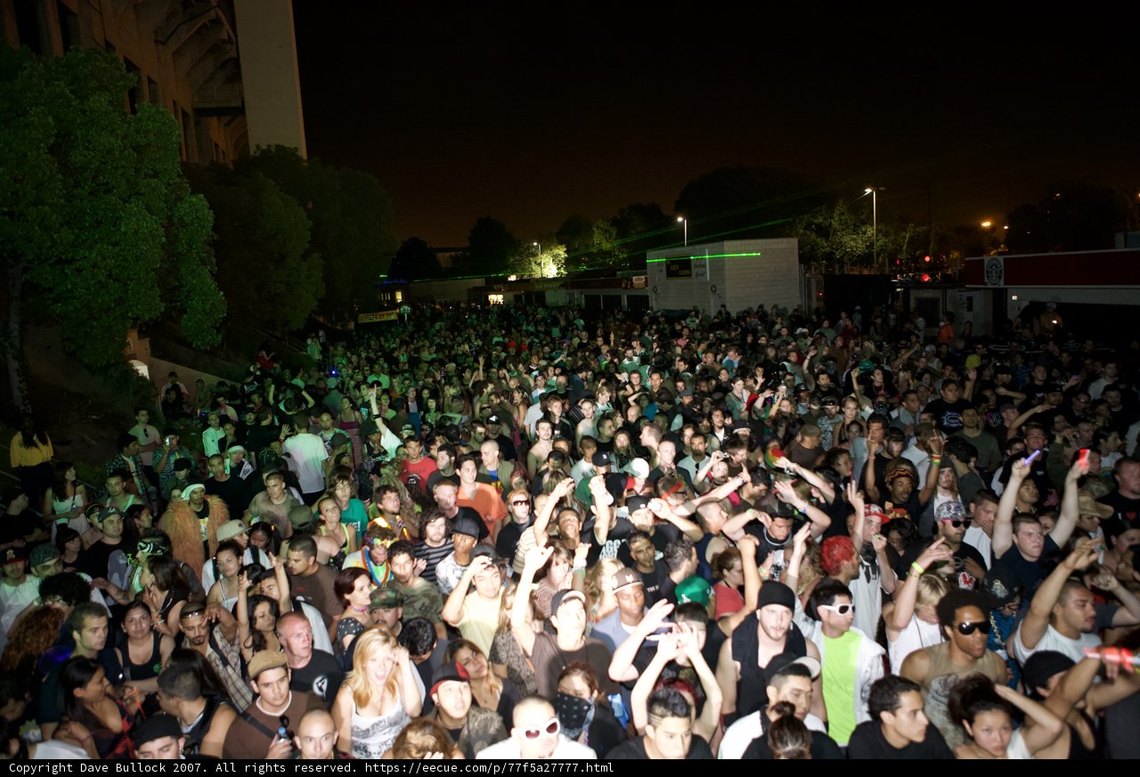 Electrifying Nights At The Concert