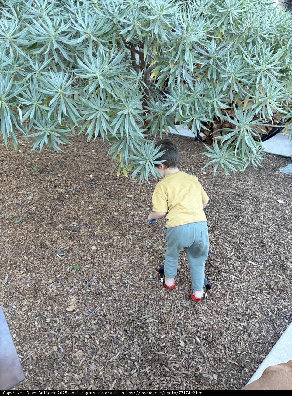 Exploring Nature's Playground