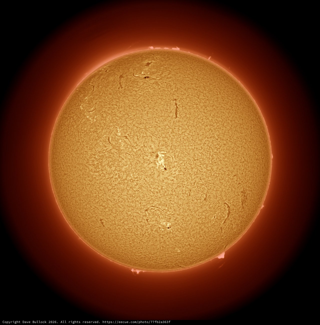 Hydrogen-Alpha Sun: First Fully Autonomous Solar Capture