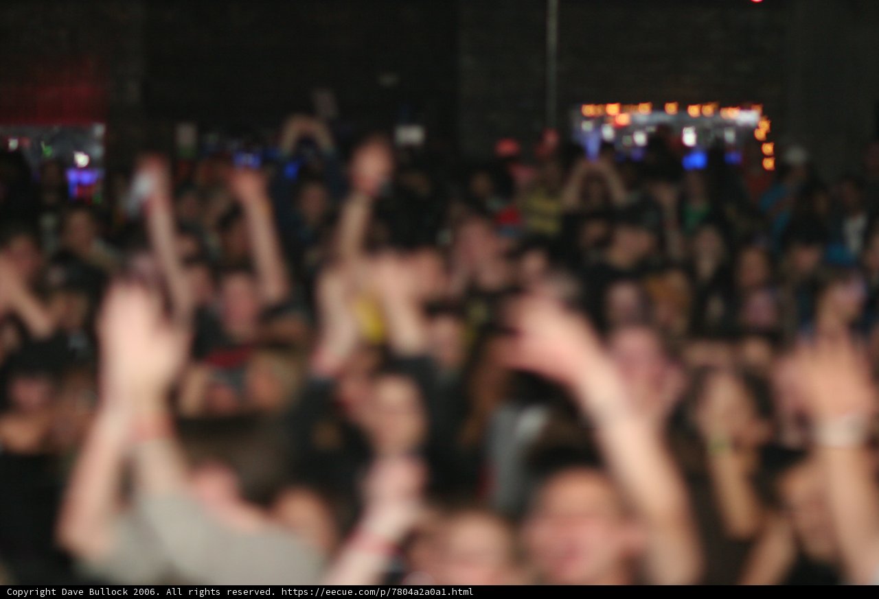 Night Life Concert