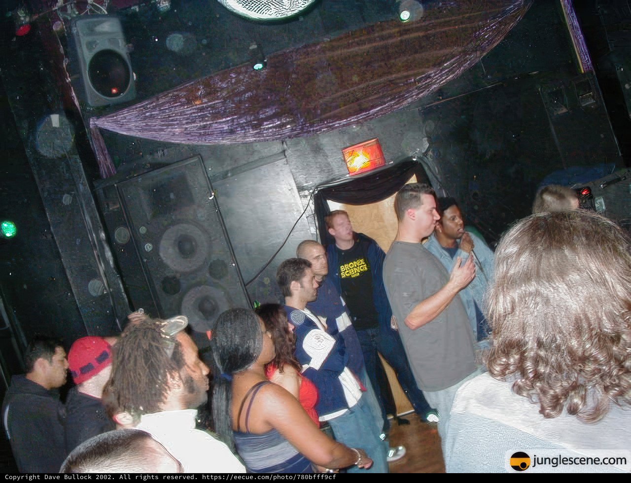 Nightclub Fun