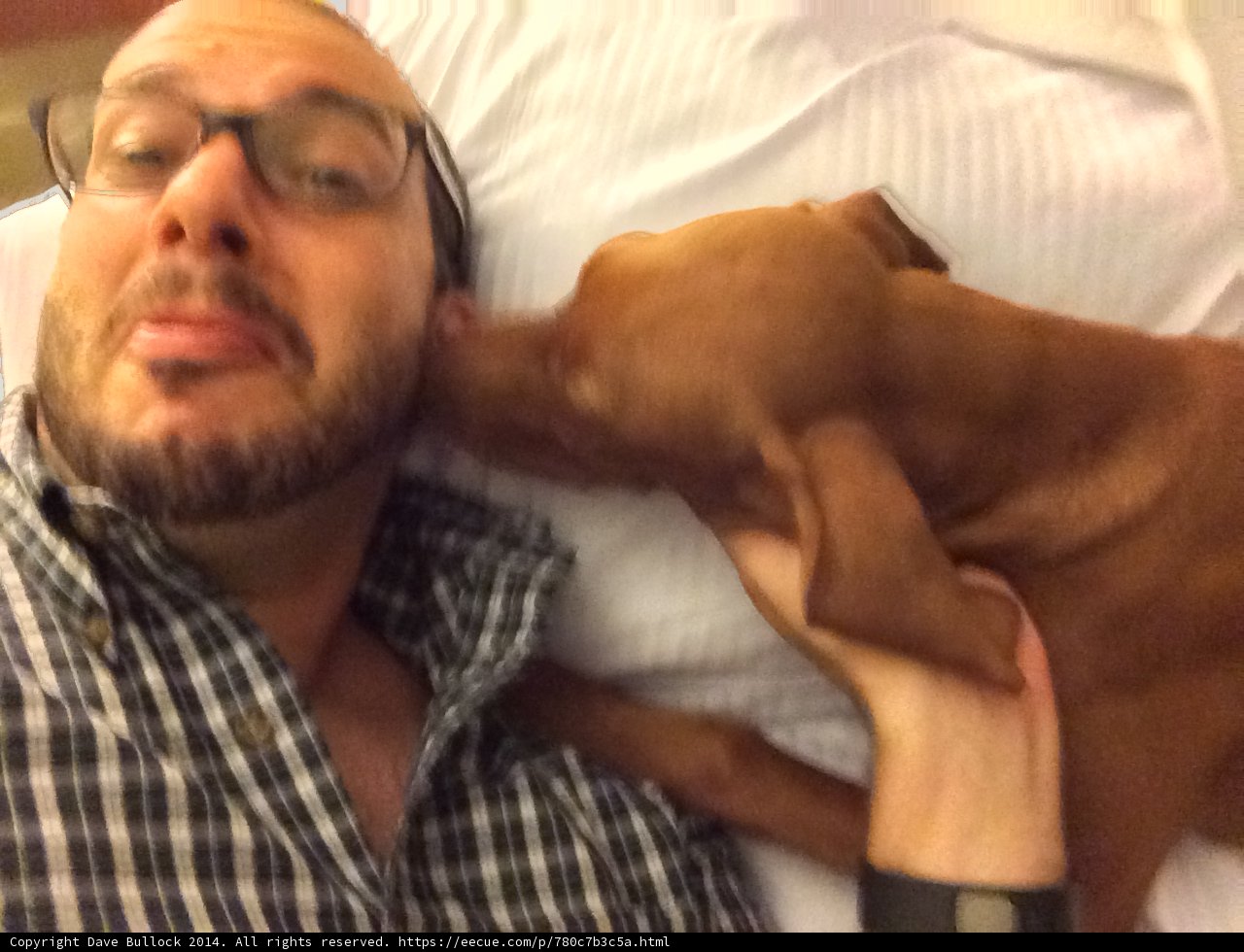A Man and his Best Friend