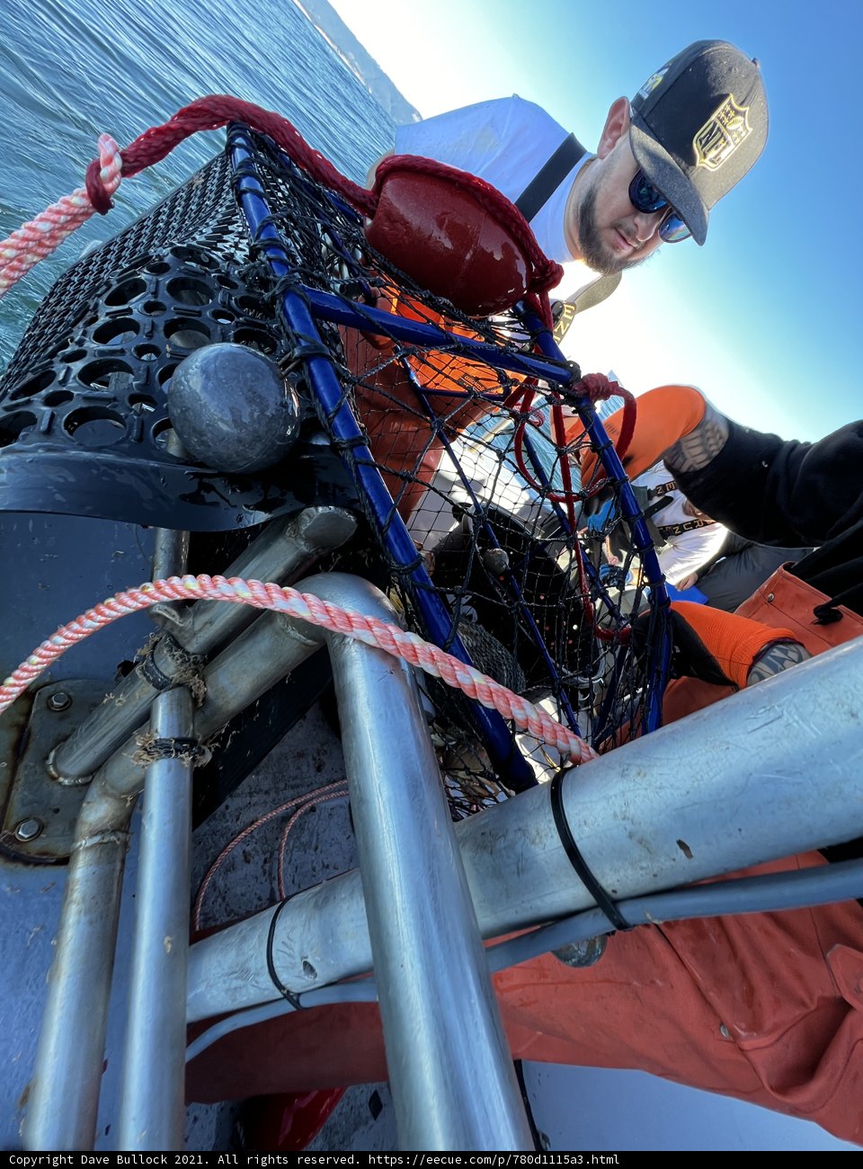 Lobster Trapping on the Gulf