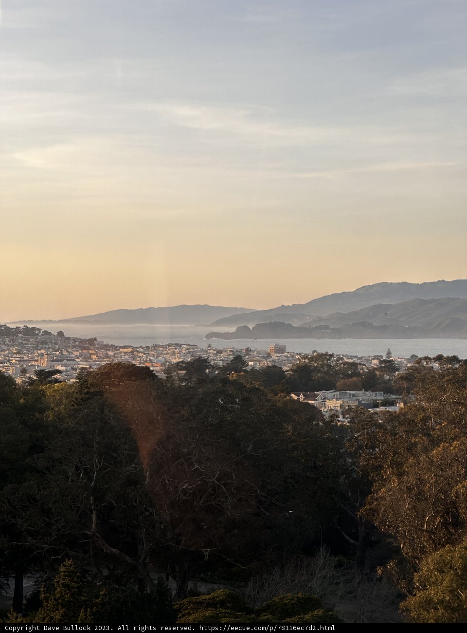 Overlooking the Urban Jungle