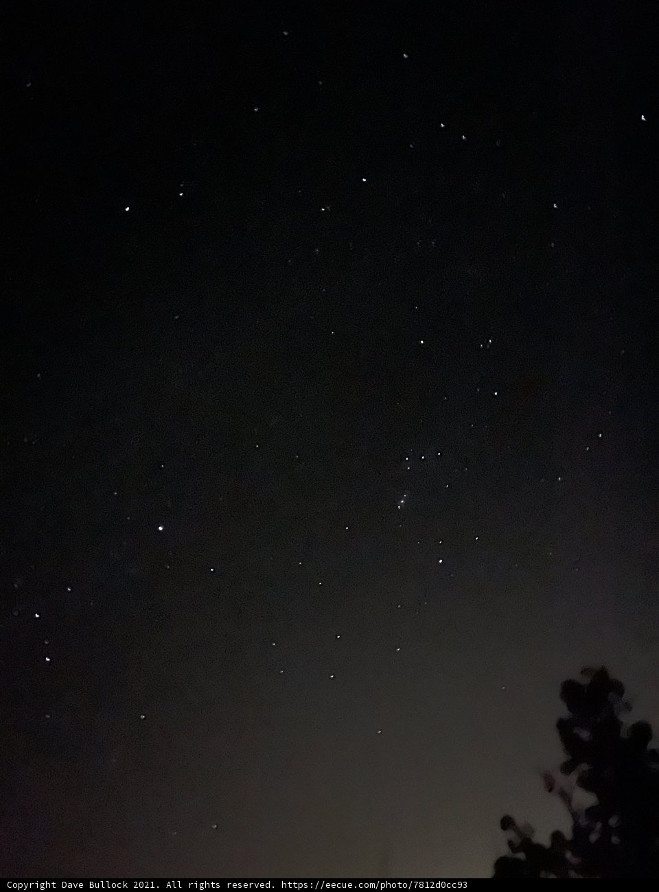 Starry night in Sandia Park