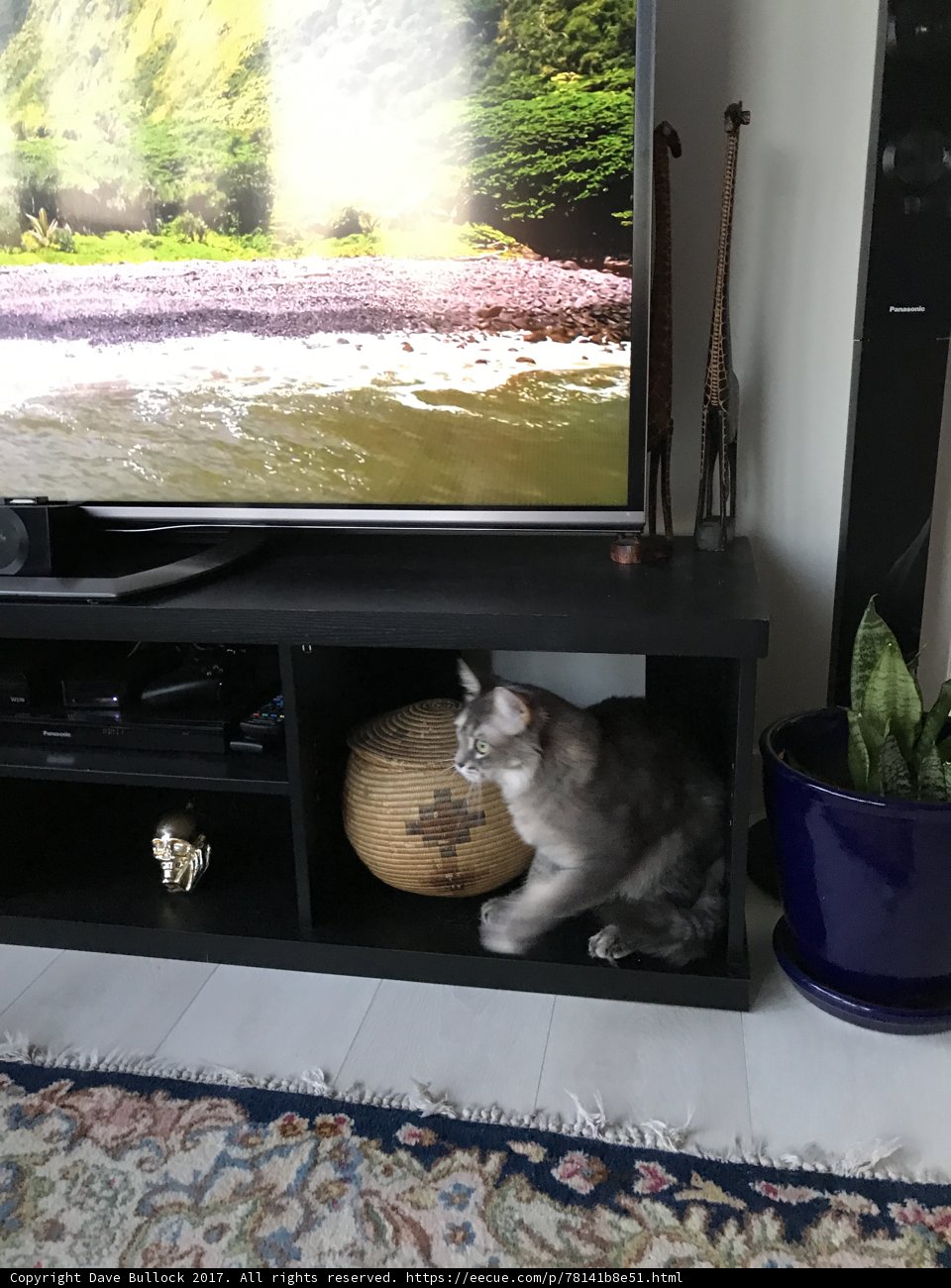 TV-Watching Cat on Stand