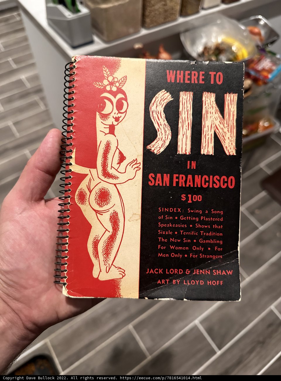 Sinful San Francisco Guidebook