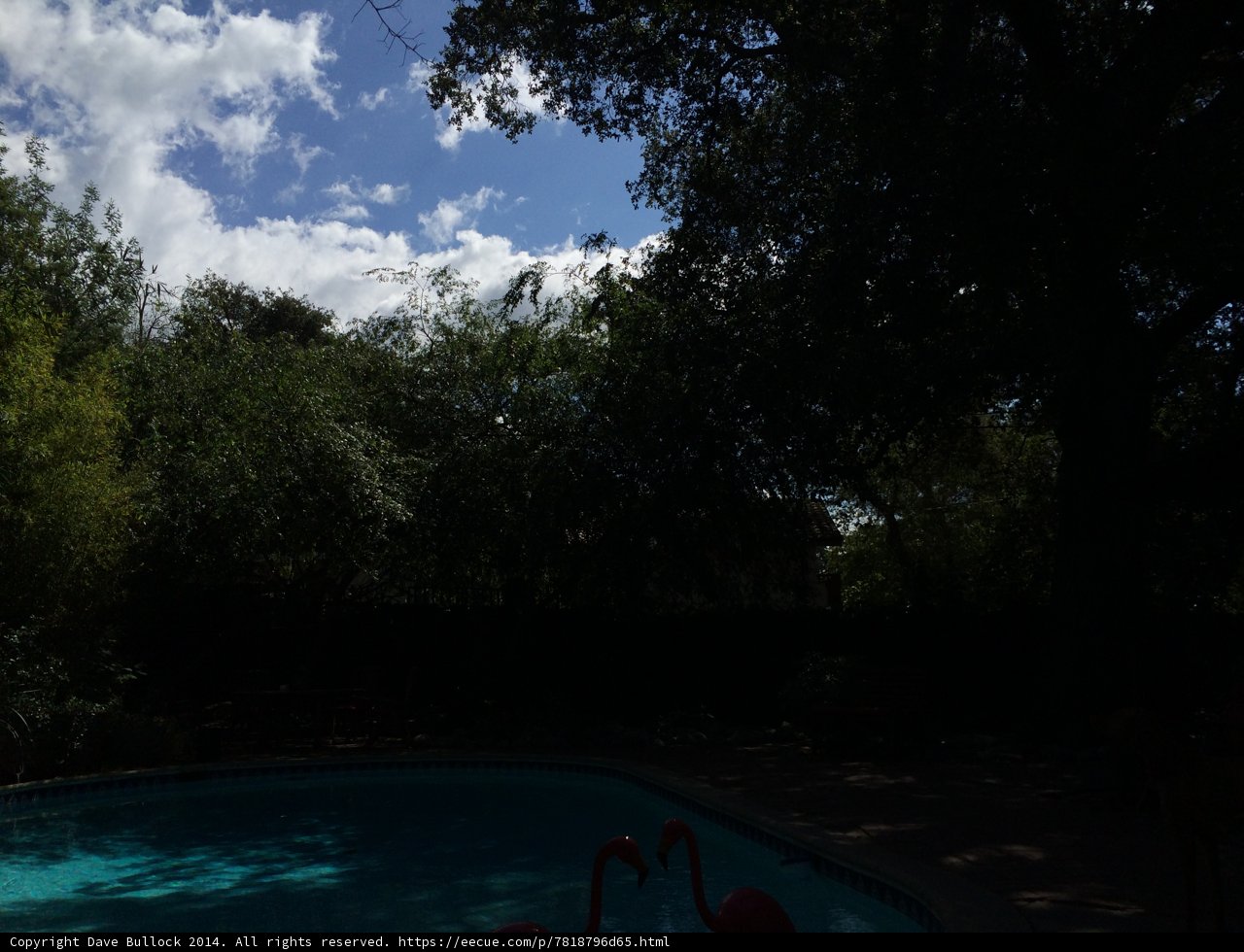 Tranquil Poolside View
