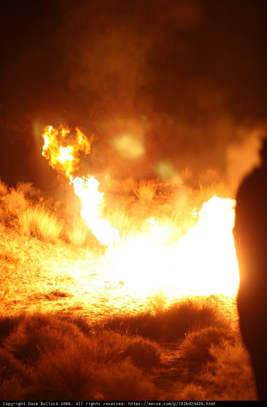 Flames in the Field