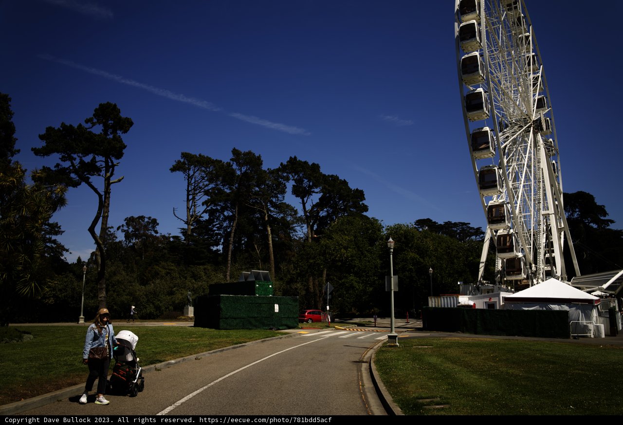 A Joyful Spin in Golden Gate Park