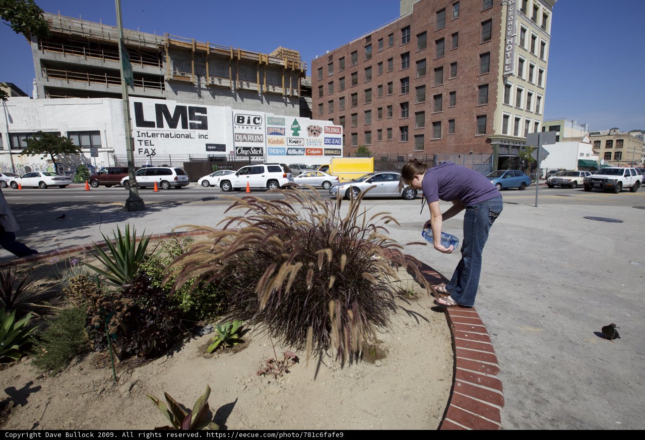 Urban Plant Picker