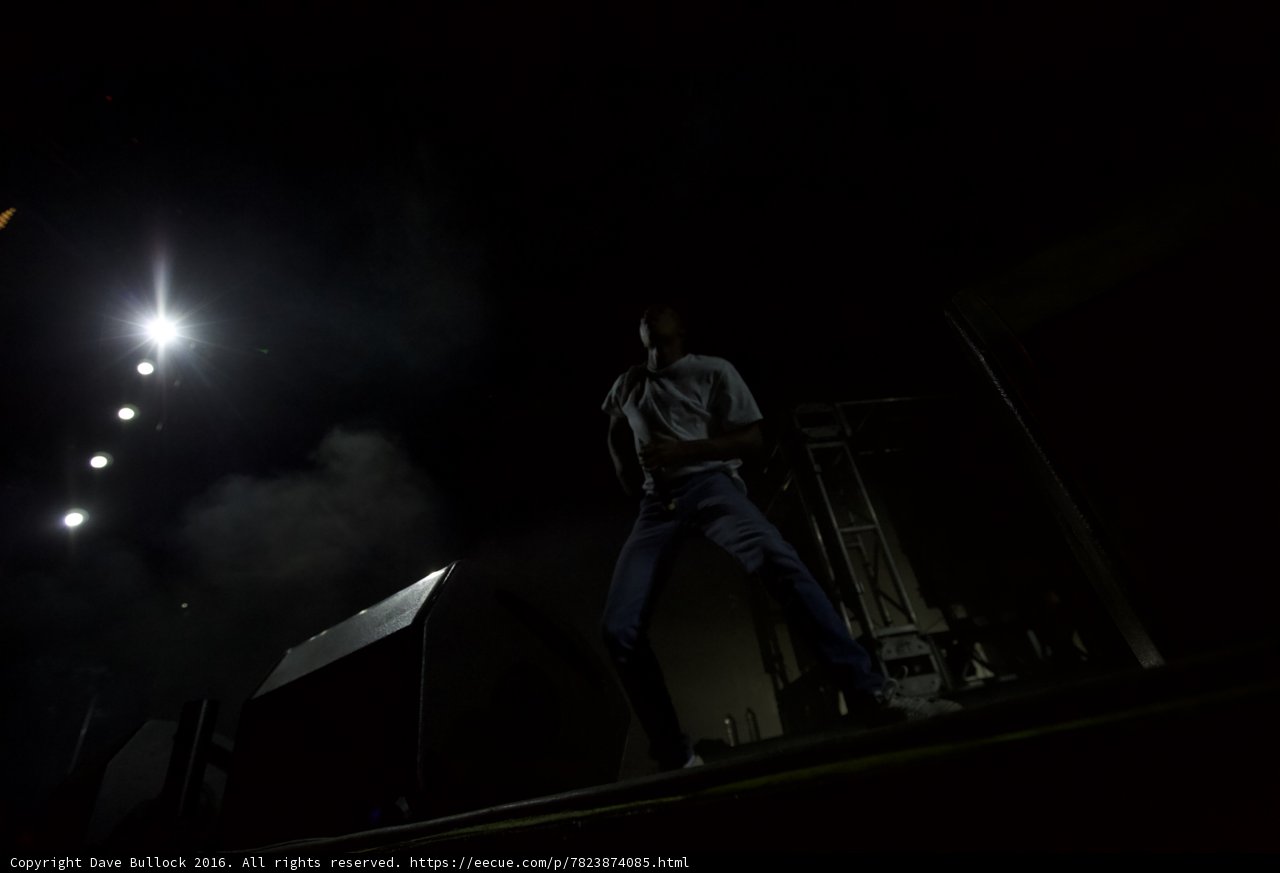 Spotlight on a Nighttime Performer