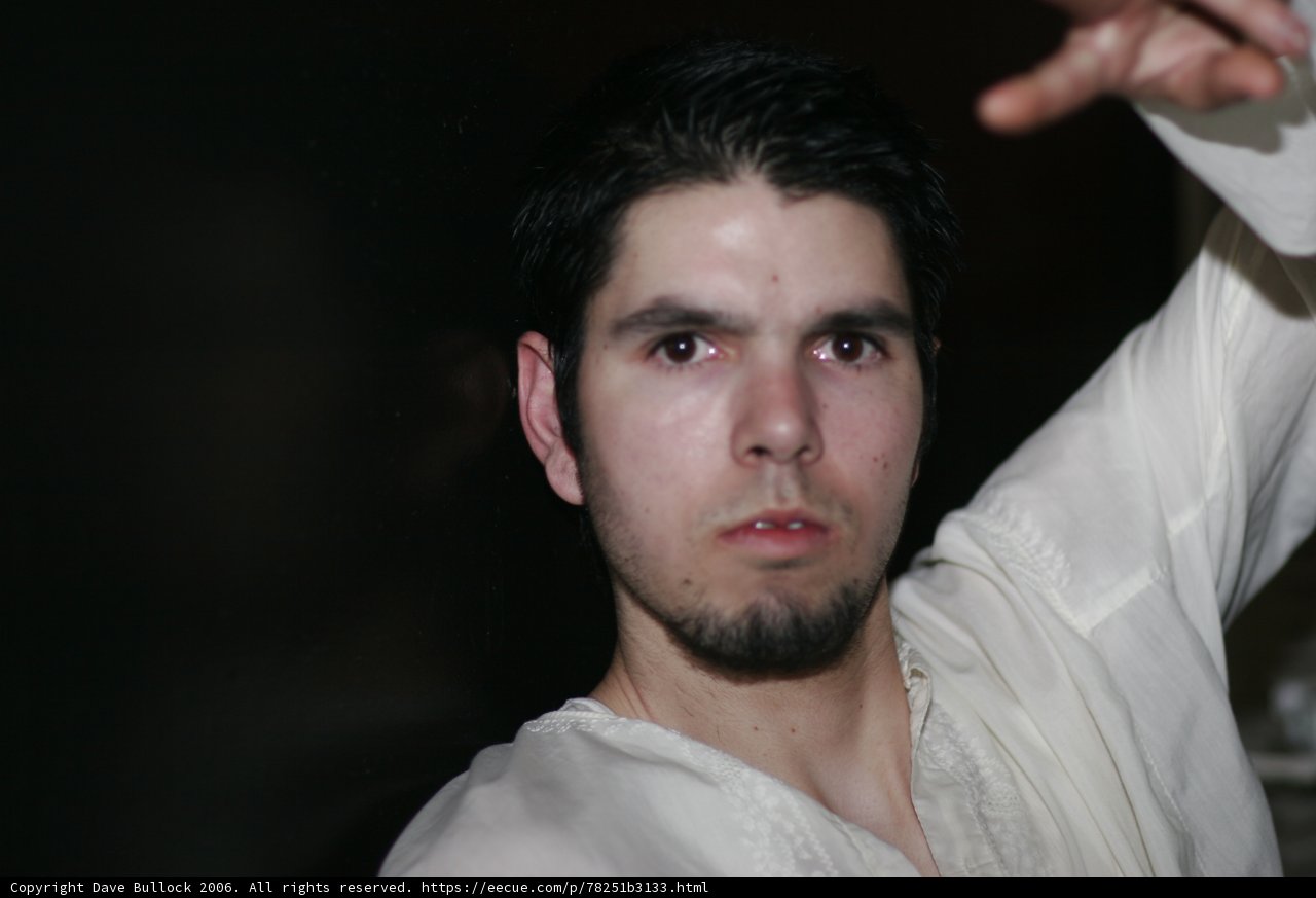 The Handsome Bearded Man