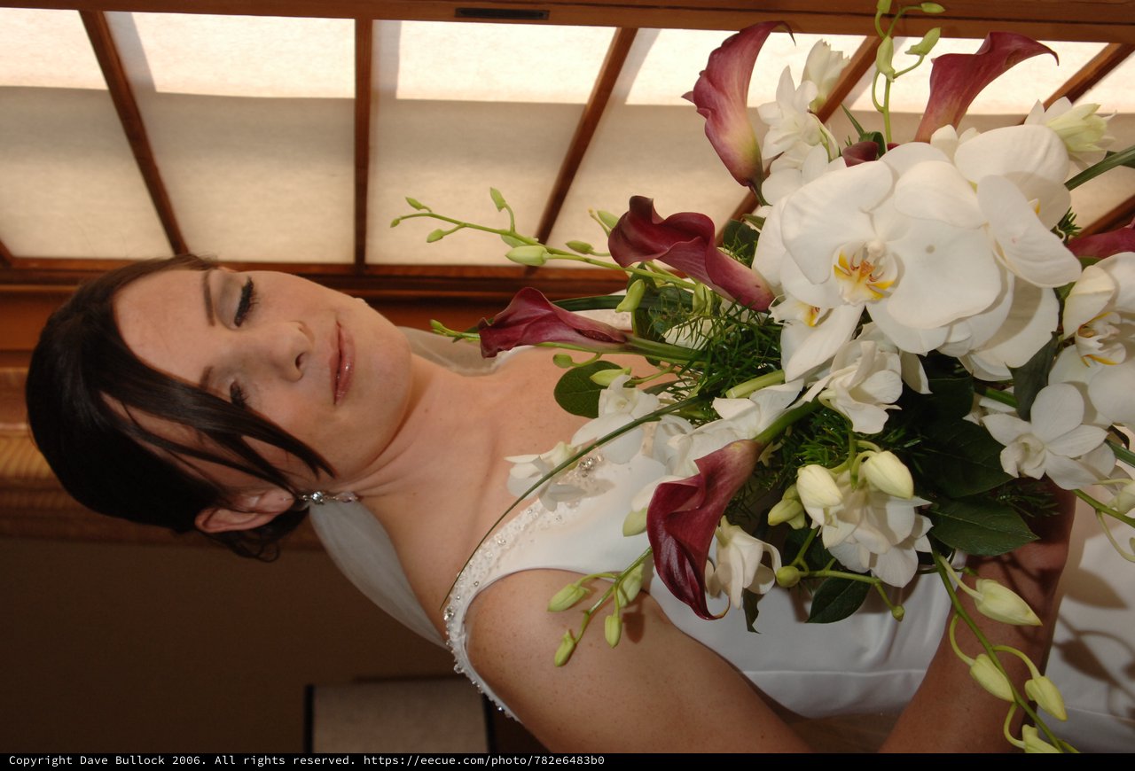 Bride with Bouquet Gazing Down in Soft Light