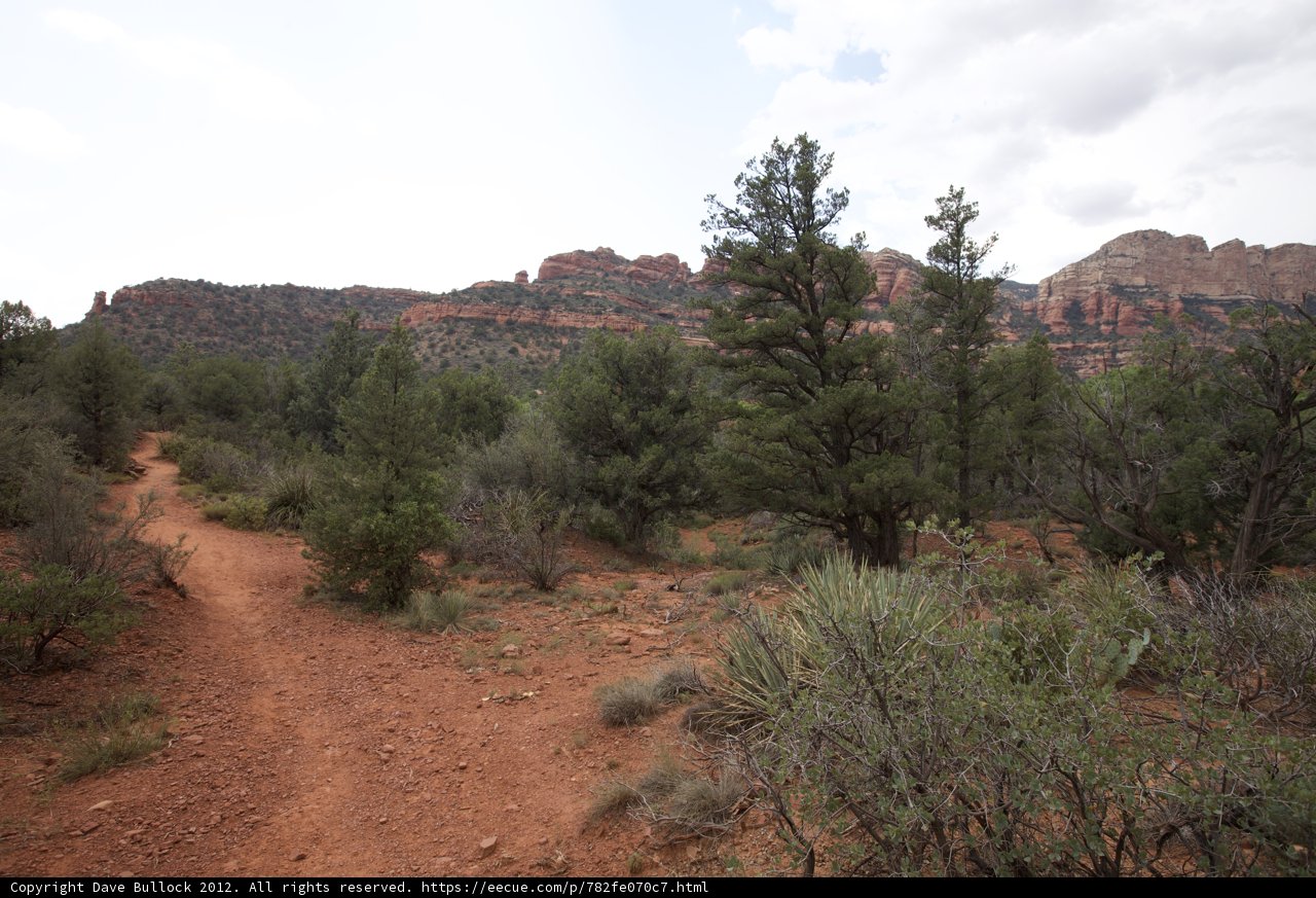Trail through the Wilderness