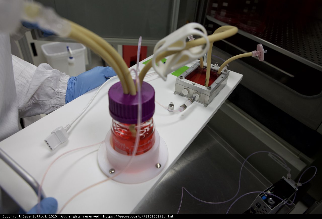 Cutting-Edge Research in the Lab