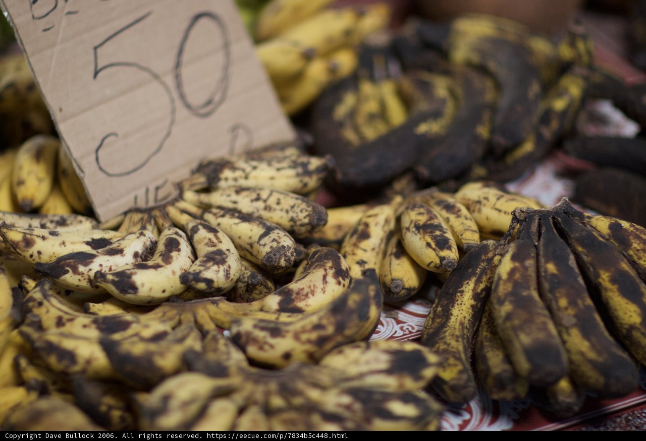 Fresh Bananas for Sale