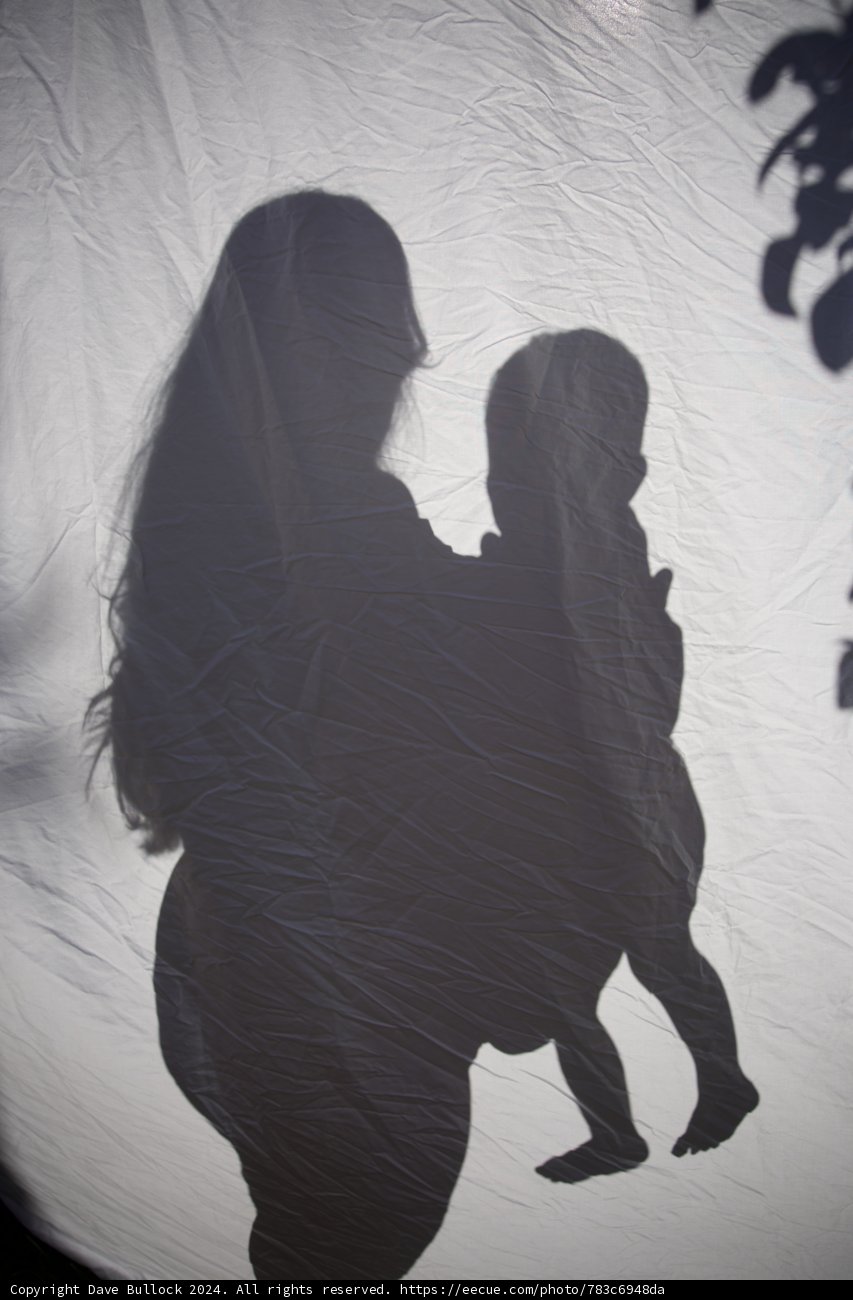 New Beginnings in Silhouette