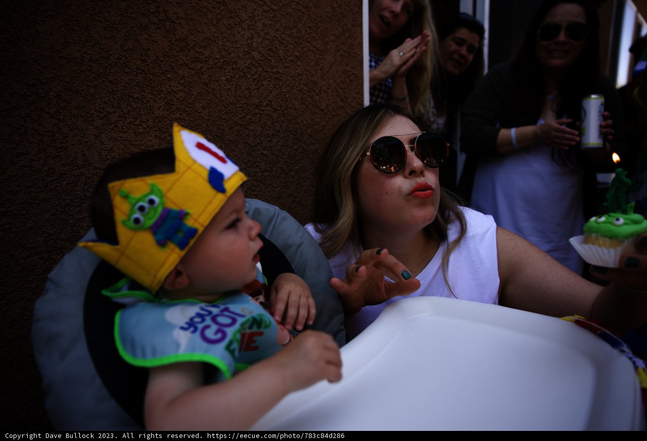 Queen of the Cupcakes at Wesley's First Birthday Bash