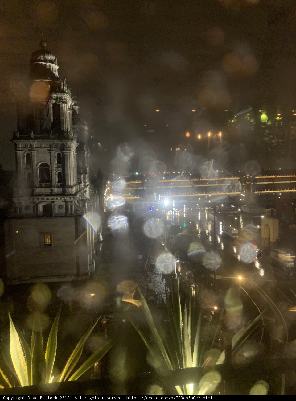 Glimmers in the Rain
