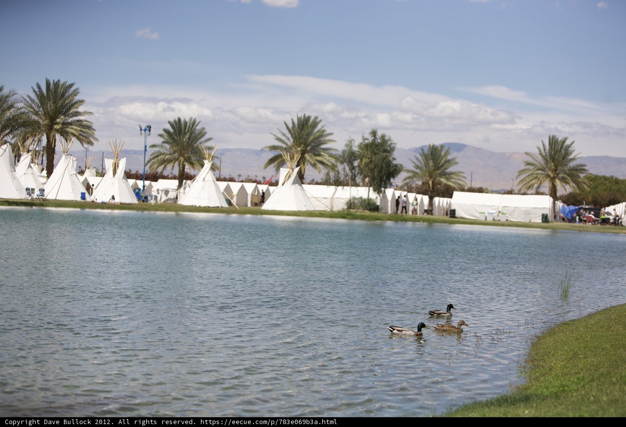 Tranquil Lake Scene at Coachella 2012