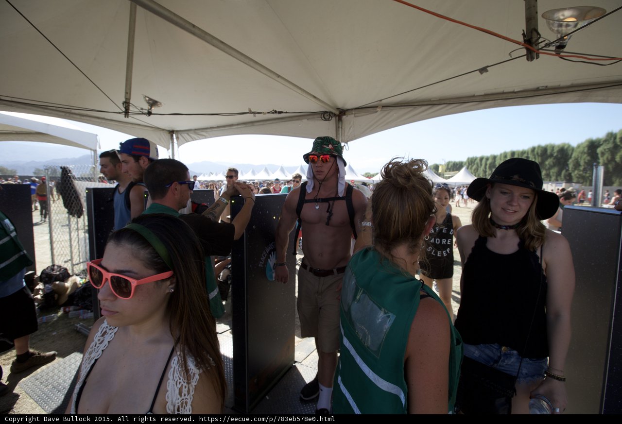 Under the Coachella Sun
