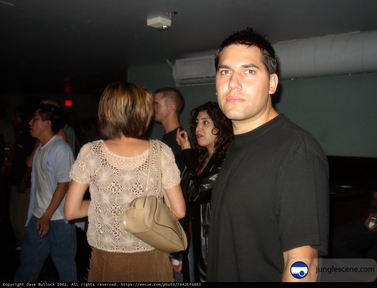 Nightclub Crowd