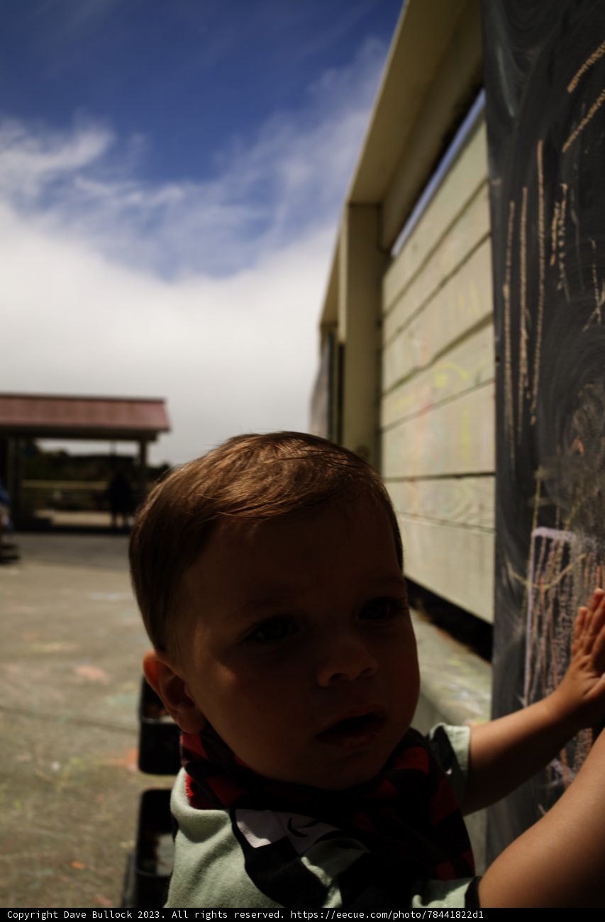 A Young Artist at Work
