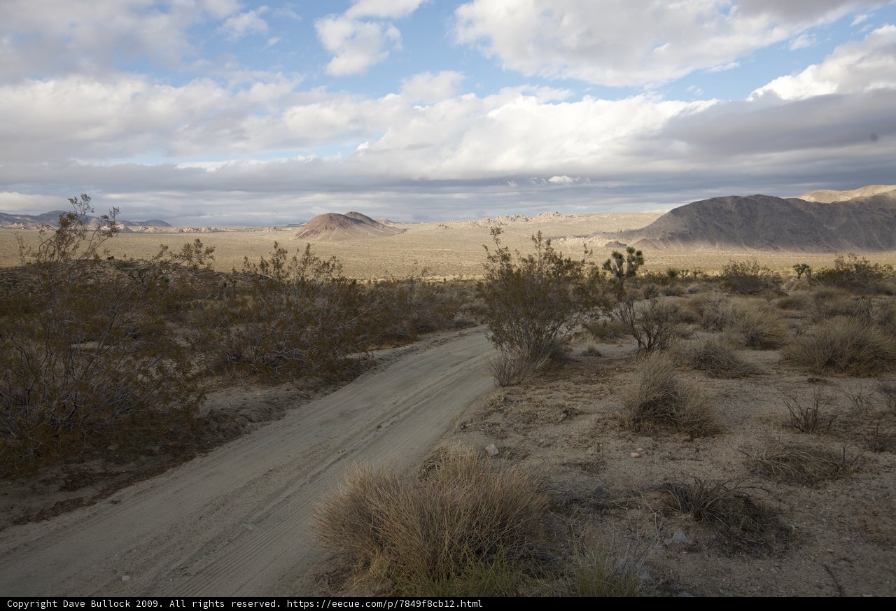 Journey through the Desert