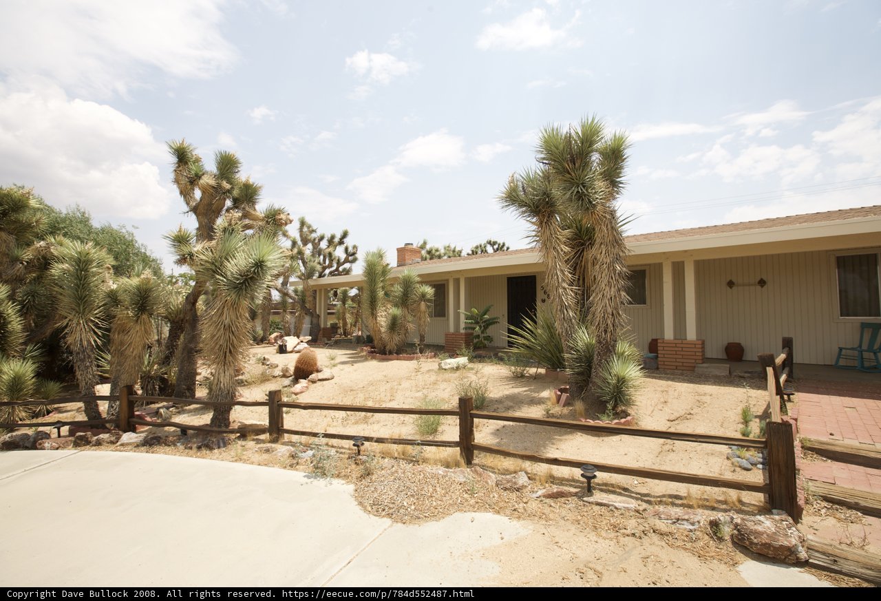 Summer Villa with Joshua Tree