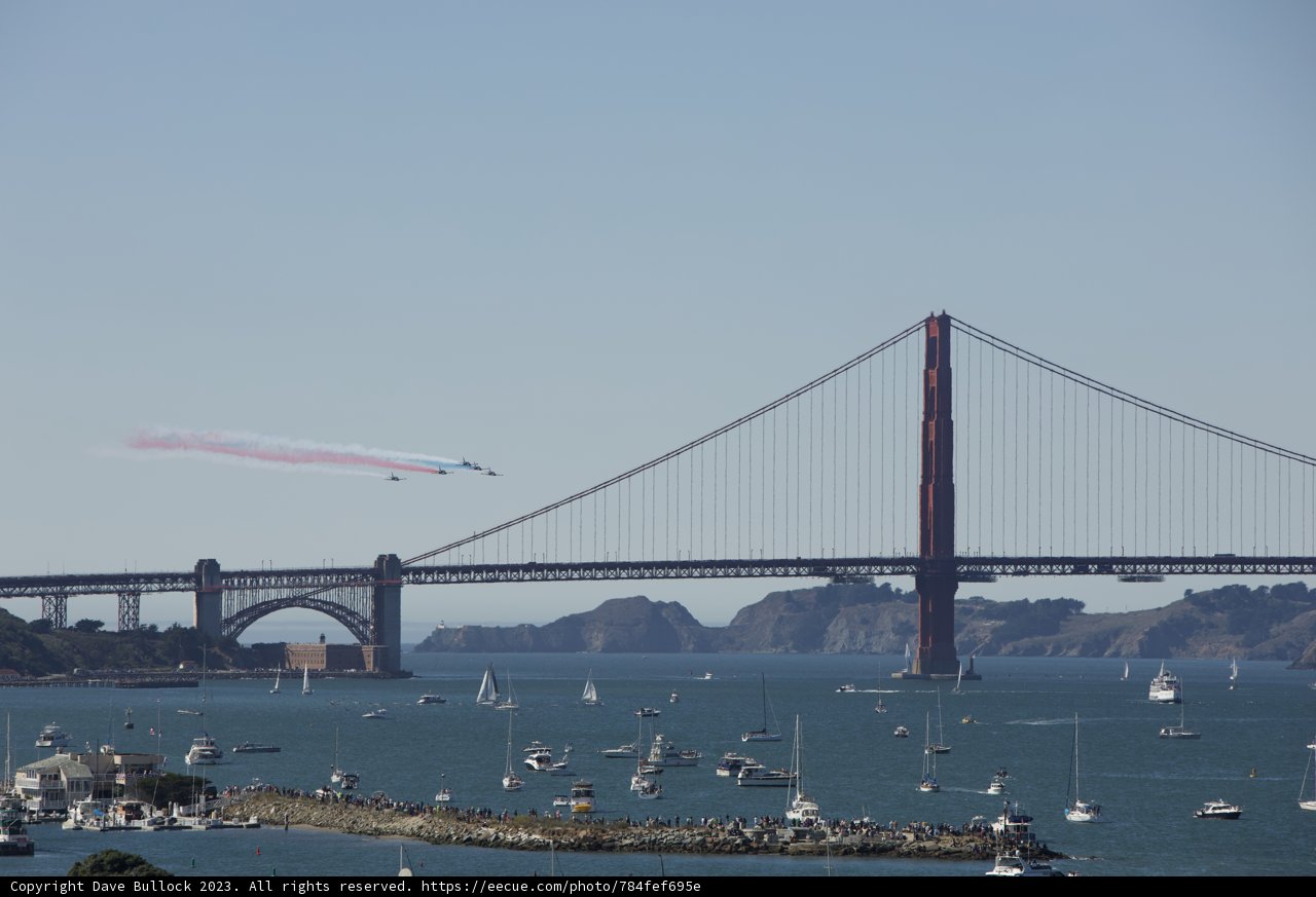 Majestic Flight Above San Francisco Bay